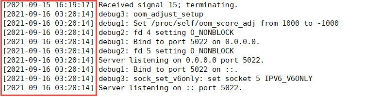 Add timestamp to SSHD DEBUG logs [100% Working]