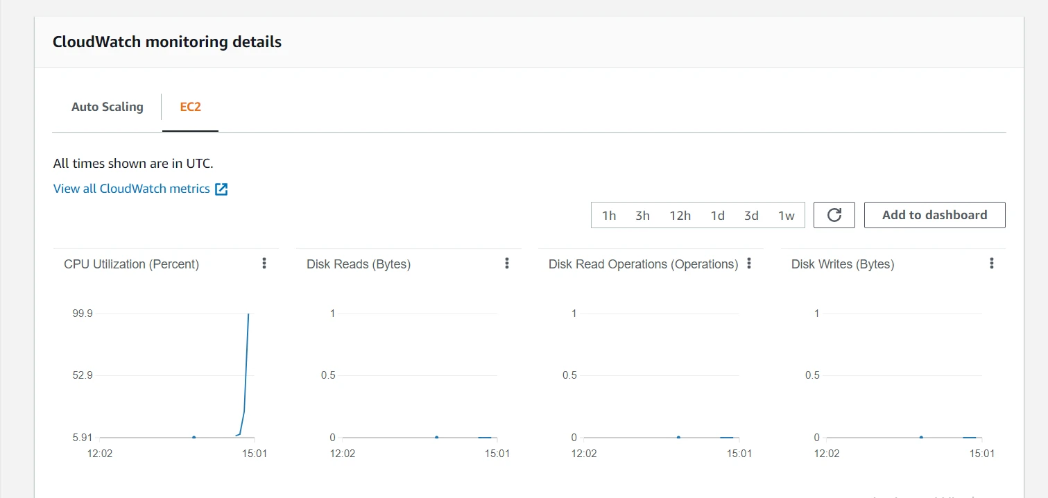 Implement AWS Auto Scaling Policy [Practical Examples]