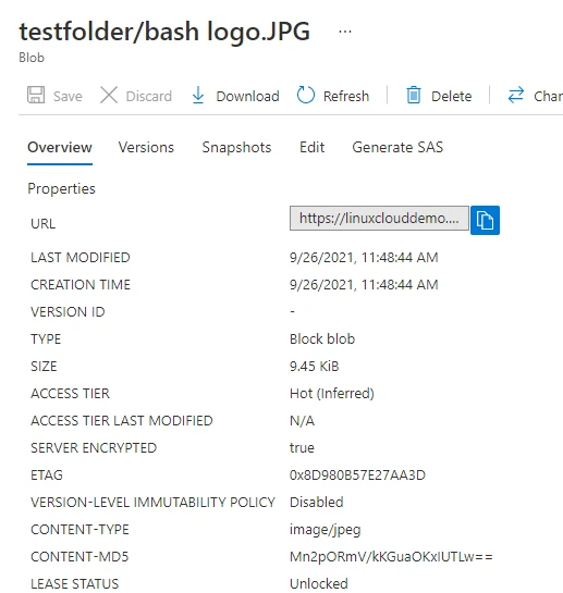 Azure Blob Storage Explained [Tutorial With Examples]