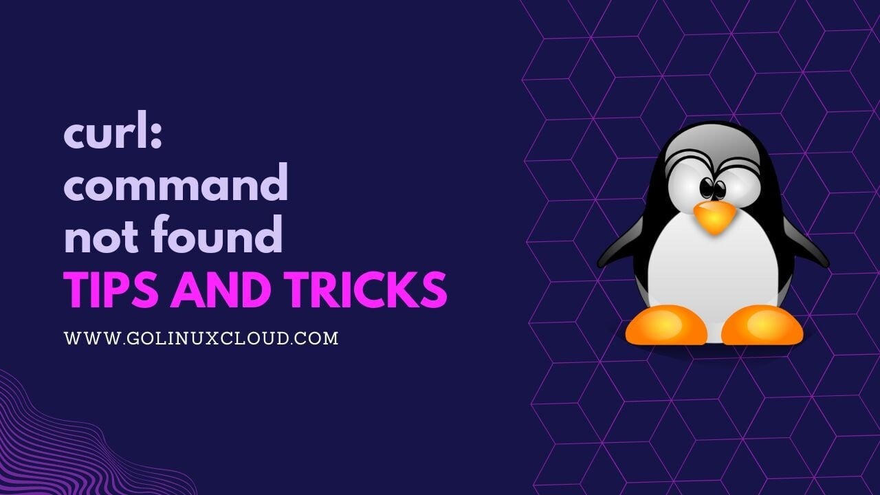 bash: curl: command not found [SOLVED]