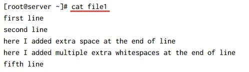 show end of line trailing characters using cat command