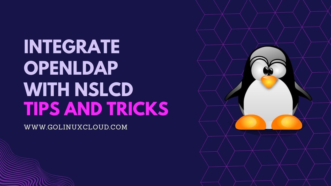 Create Central Authentication Server with OpenLDAP and NSLCD in Ubuntu