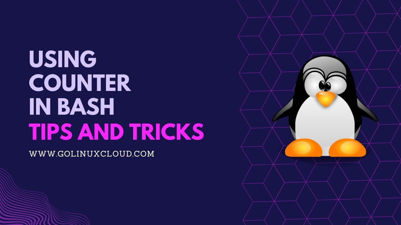Using Counter in Bash with Practical Examples