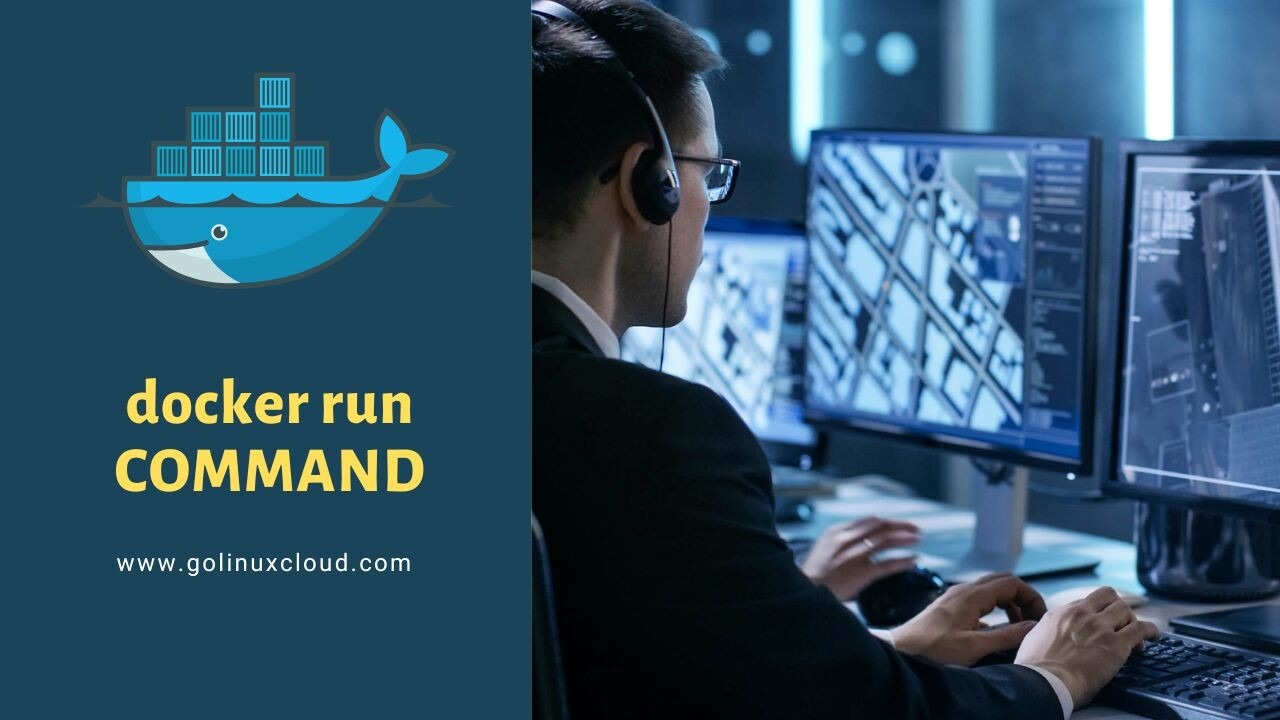 docker run -i command examples