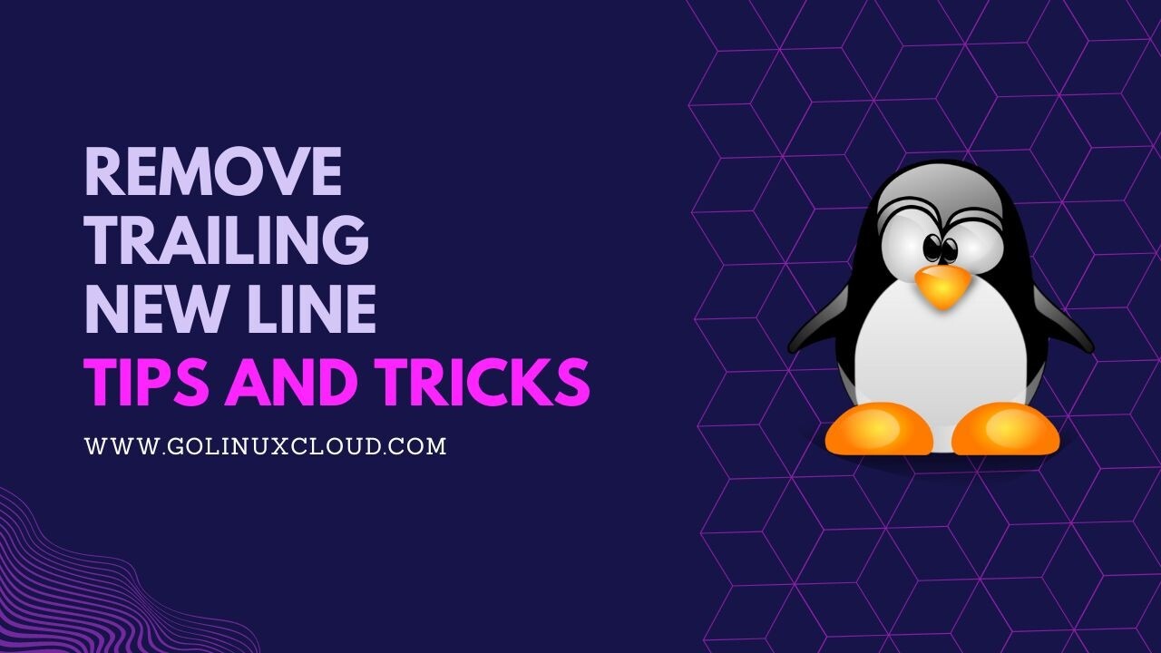 What does echo -n do in Linux? [SOLVED]