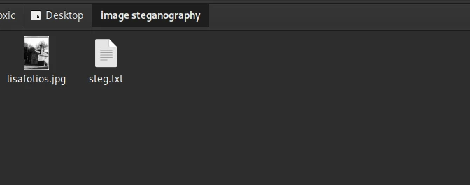 steganography