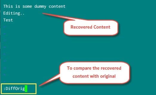 [Solved] Found a swap file by the name