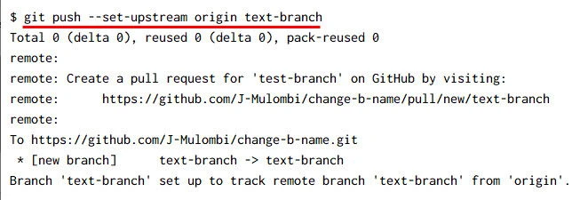 git change branch name PROPERLY [3 Examples]