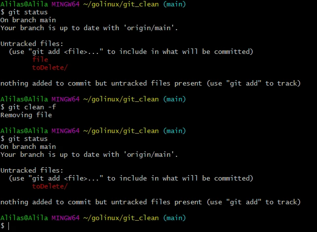 git clean