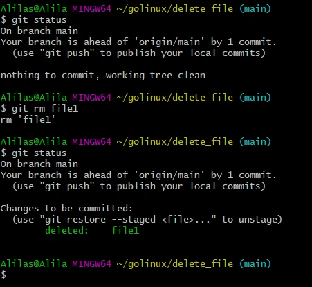 git delete file or directory using git rm