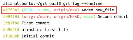 git fetch vs git pull Explained [With Examples]