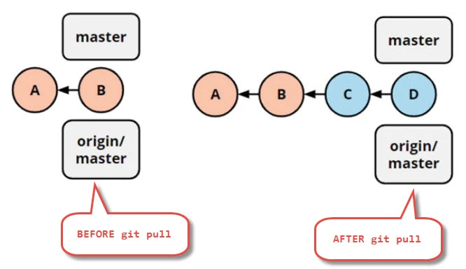 git fetch vs git pull Explained [With Examples]