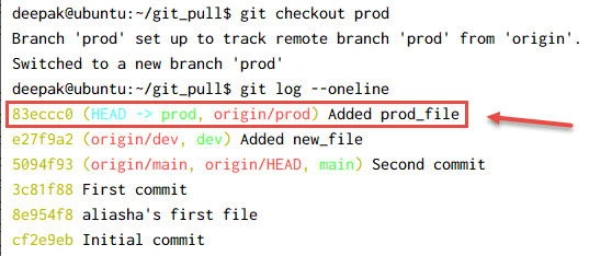 git fetch vs git pull Explained [With Examples]