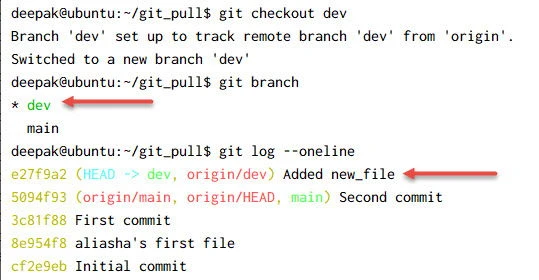 git fetch vs git pull Explained [With Examples]