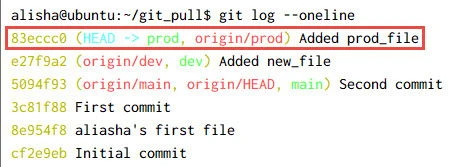 git fetch vs git pull Explained [With Examples]