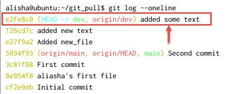 git fetch vs git pull Explained [With Examples]