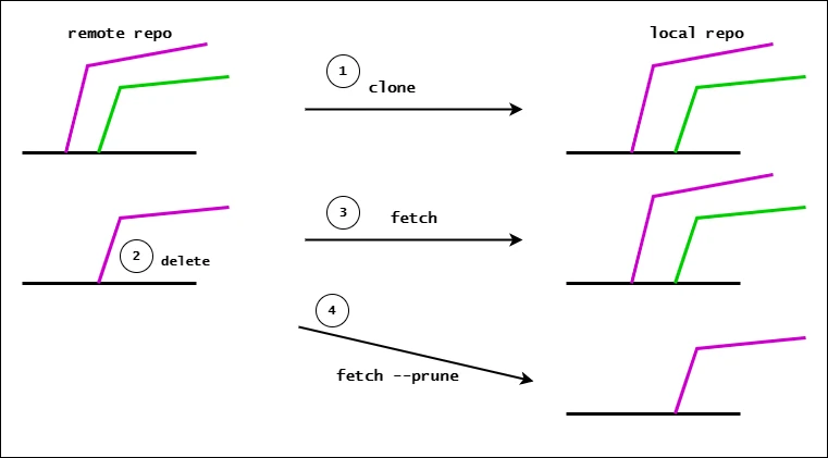 git prune explained [Easy Examples]