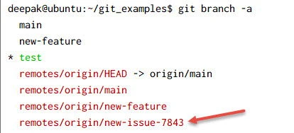 git prune explained [Easy Examples]