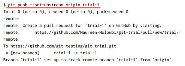 git pull command examples [5 Methods]