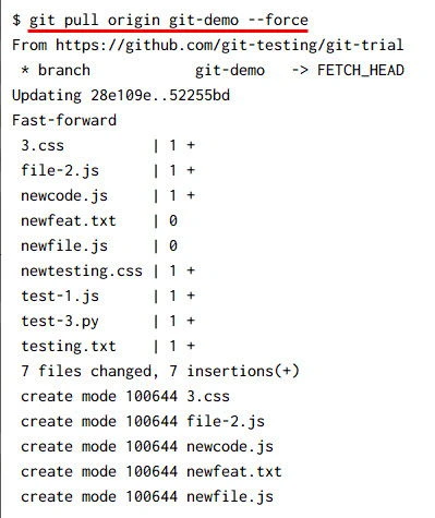 git pull command examples [5 Methods]
