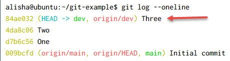 git pull force Explained [With Examples]
