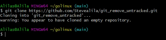 Git remove untracked files simplified [Do's & Don'ts]