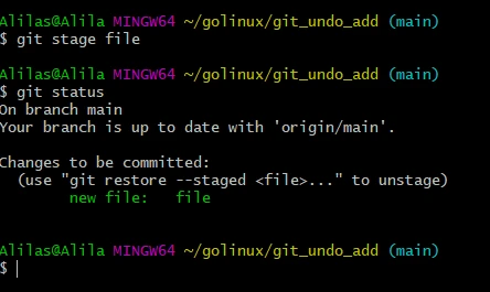 untracked files after git undo add