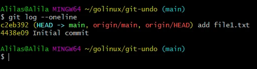 git undo commit before push [Practical Examples]