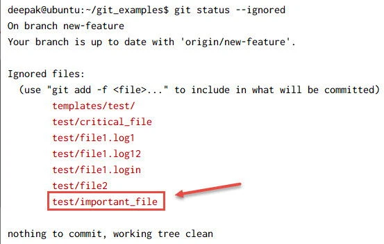 gitignore usage explained in detail [With Examples]