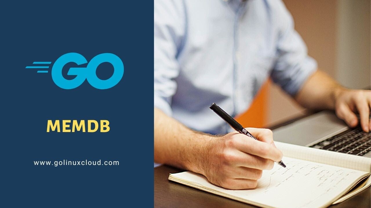 Golang memdb Tutorial [With Examples]