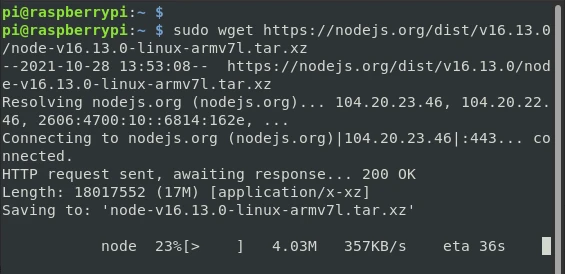 Install Nodejs and NPM on Raspberry Pi [Step-by-Step]