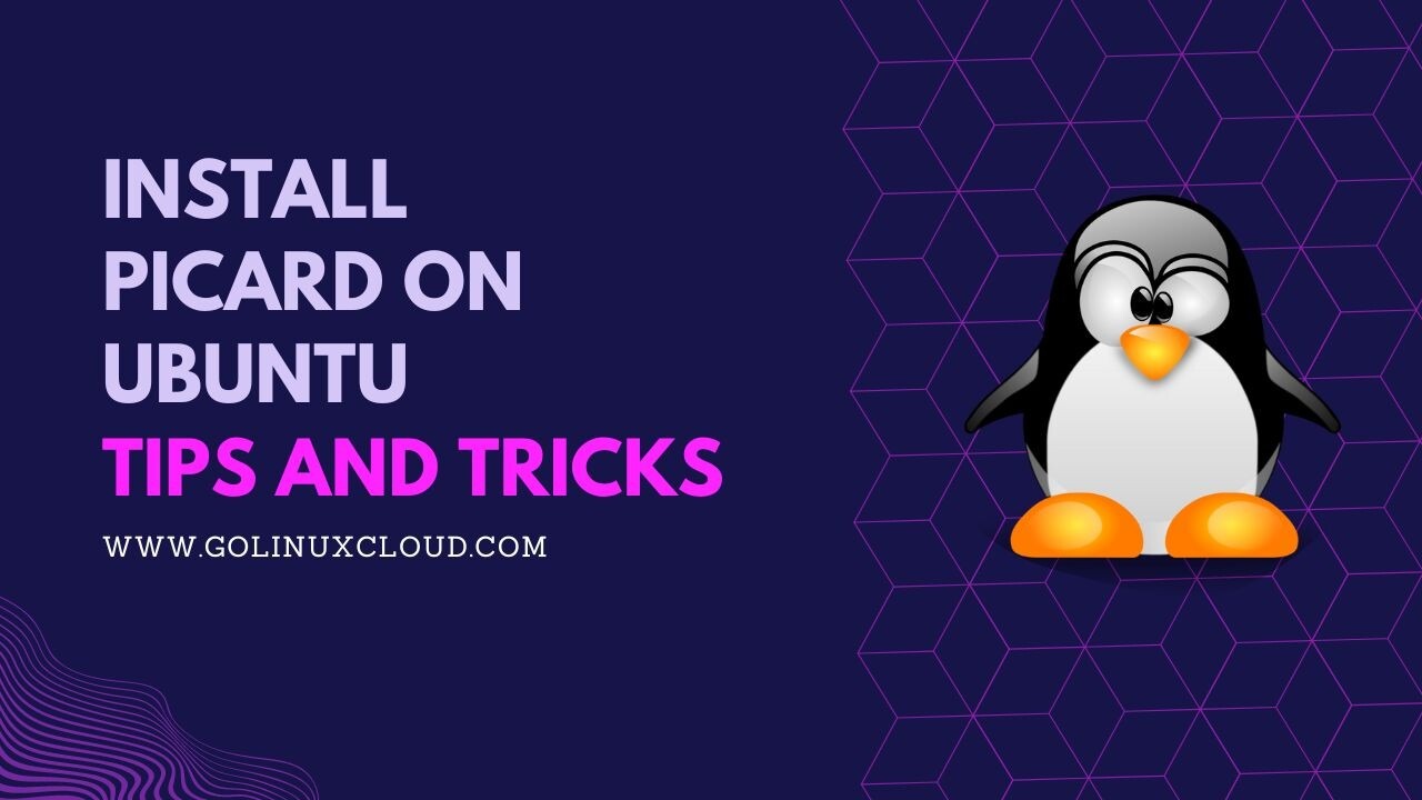 Steps to Install Picard on Ubuntu [3 Methods]