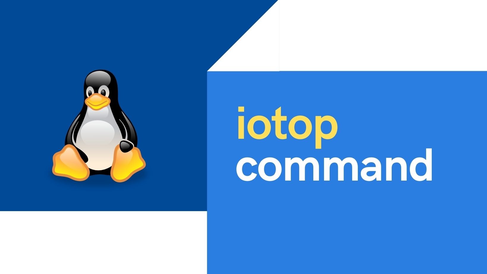 14 iotop command examples [Monitor Disk IO]