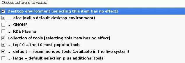 Install Kali Linux on VirtualBox (step-by-step screenshots)