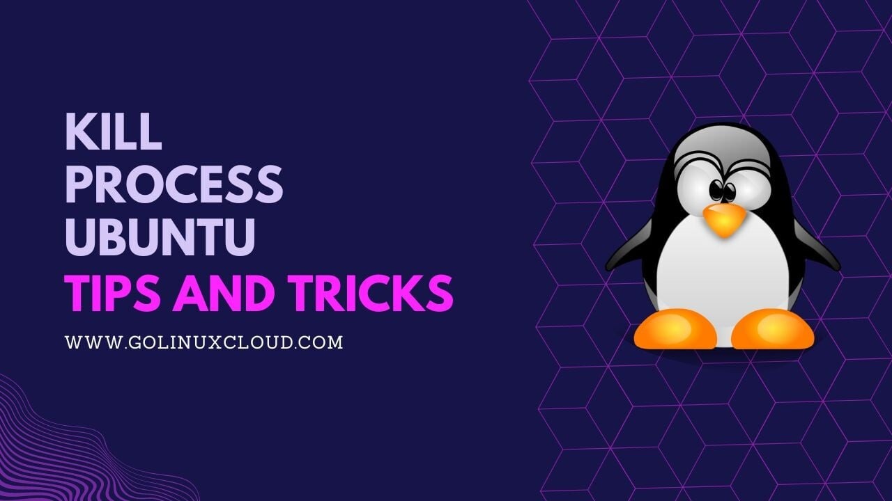 How to PROPERLY kill process on Ubuntu? [SOLVED]