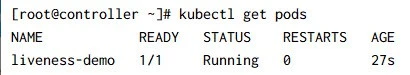 How to perform kubernetes health check using probes