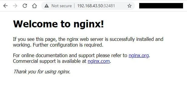 Beginners guide to Kubernetes Services with examples