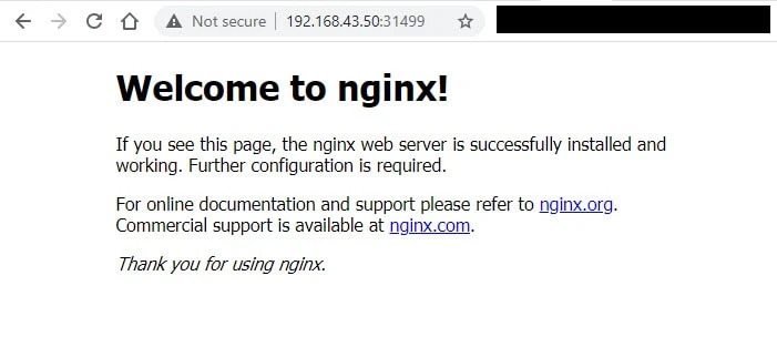 Beginners guide to Kubernetes Services with examples