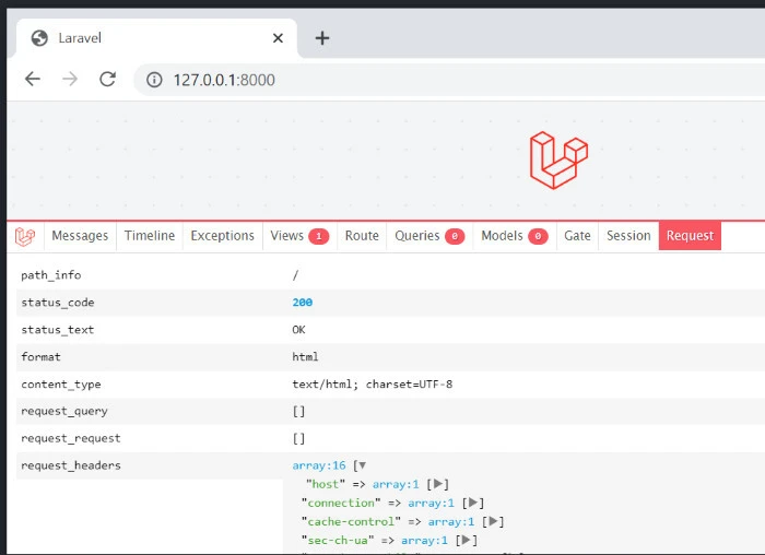 Inspect requests with Laravel Debugbar