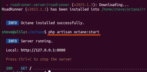 Install Laravel octane
