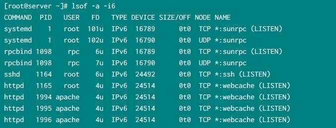 check if Ipv6 is enabled or disabled with lsof