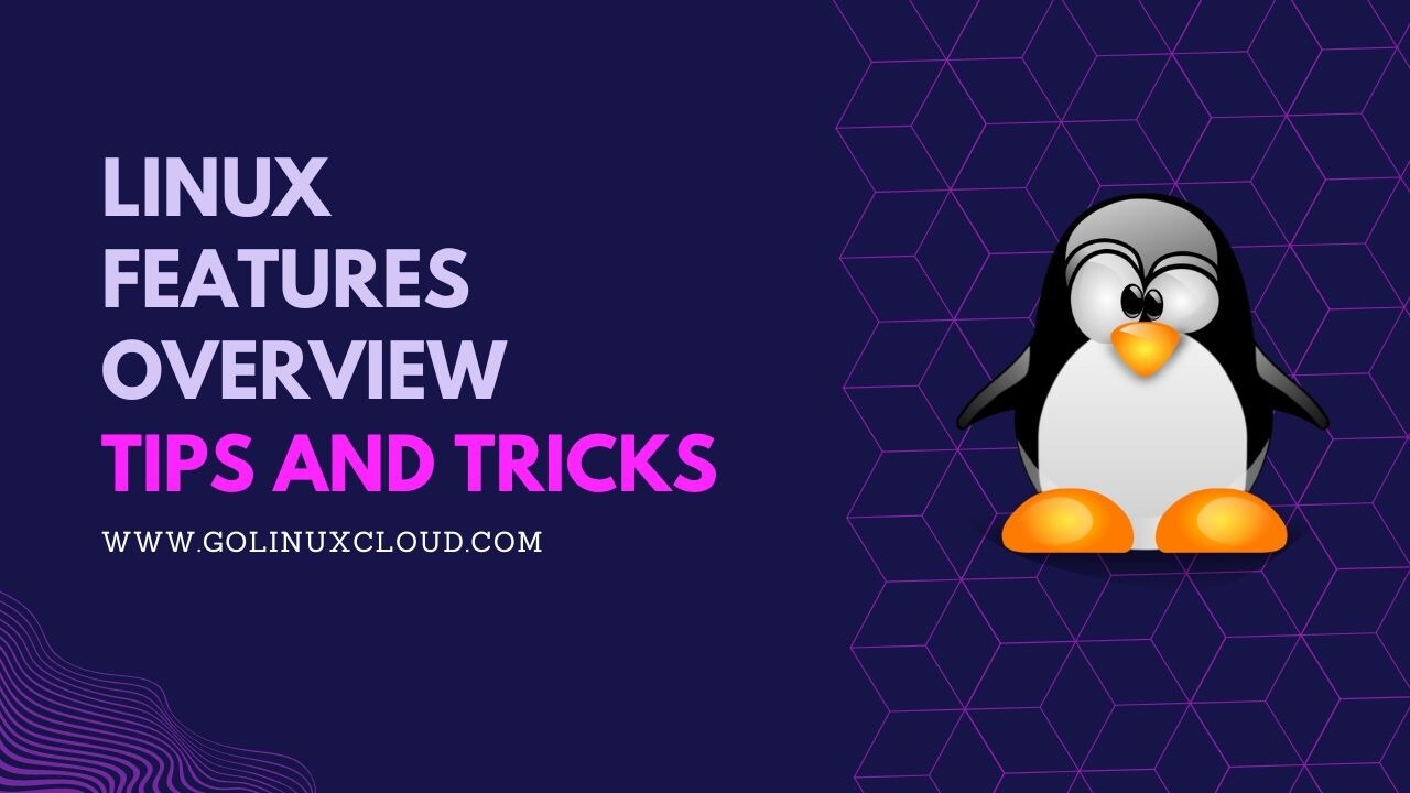 Linux Versus the World: What Makes It Stand Out Among OS