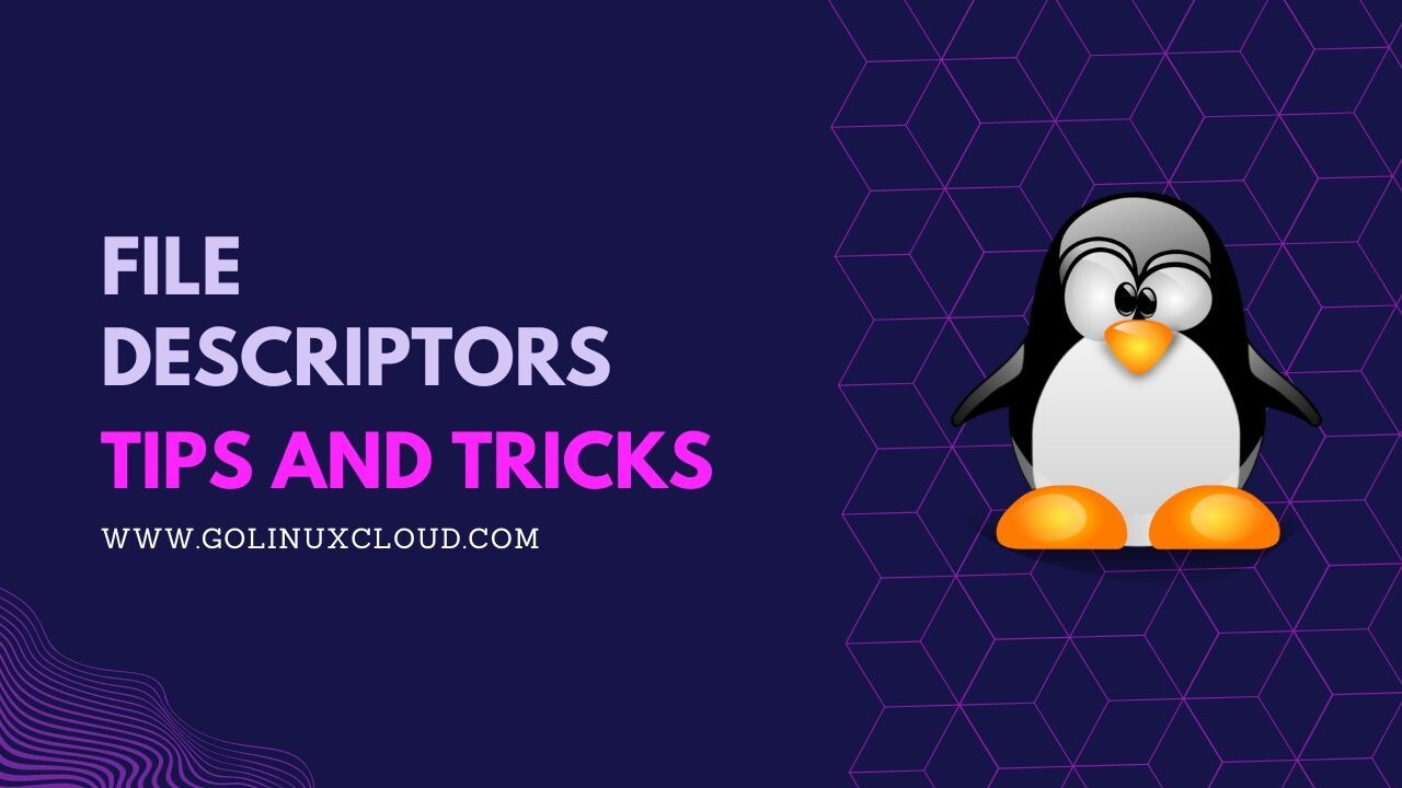 Linux File Descriptors [In-Depth Tutorial]