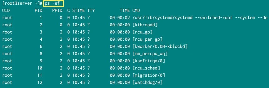 5 practical examples to list running processes in Linux
