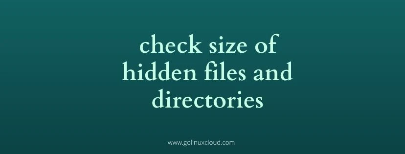 check size of hidden files and folders in Linux