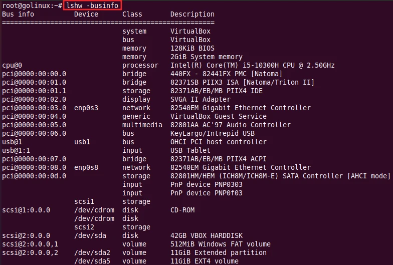lshw command to display bus information