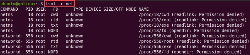 lsof command list opened files by specific process