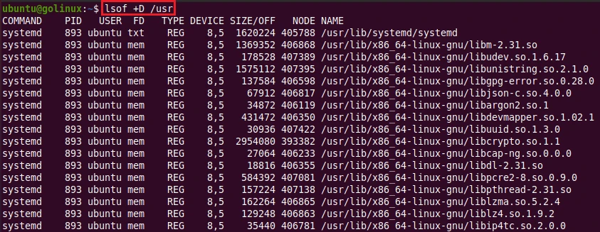 lsof command to find opened files in directory