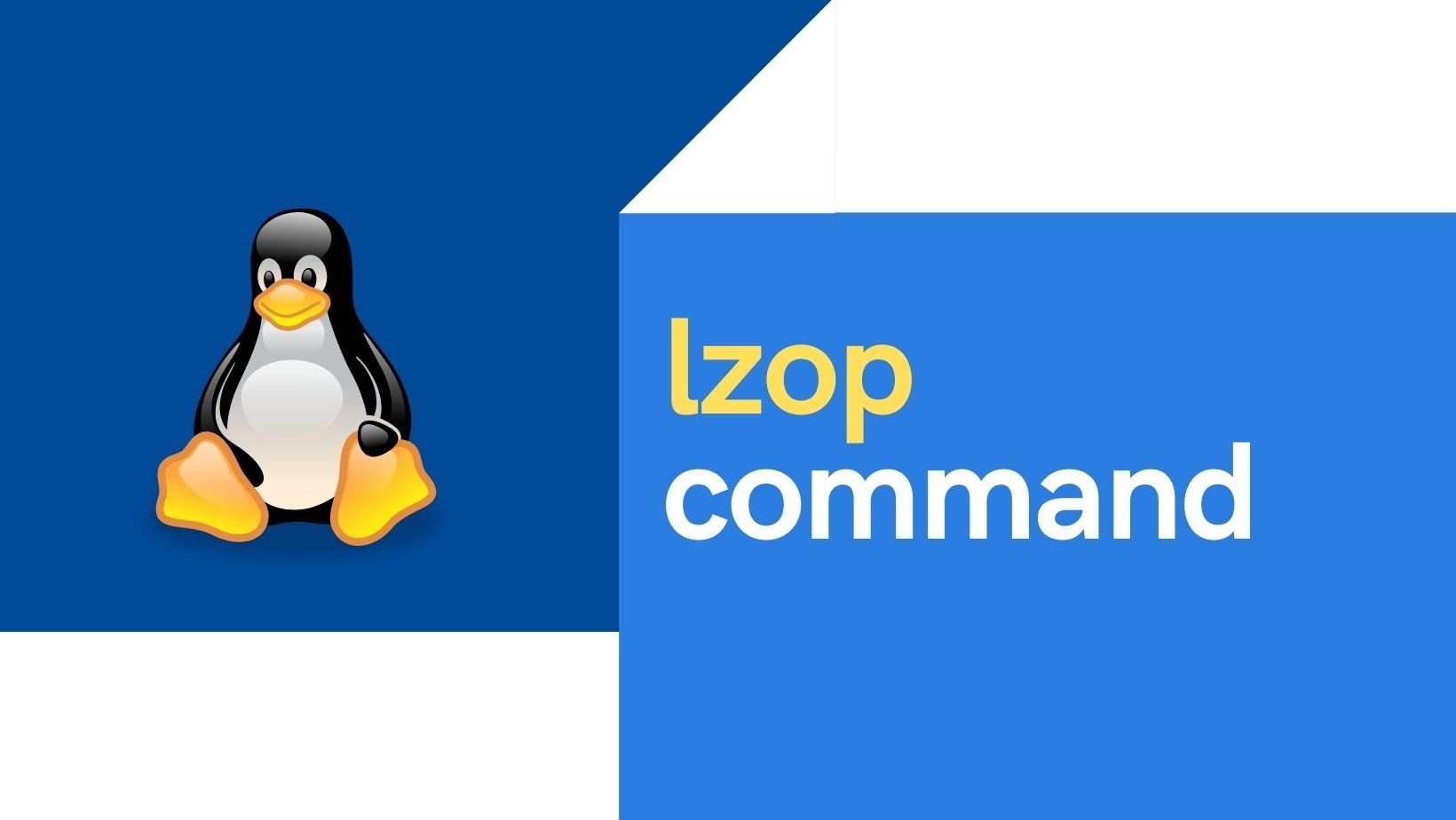 10+ lzop command examples in Linux [Cheat Sheet]