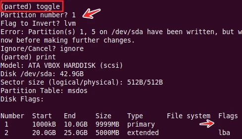 parted command to toggle the state of flag on partition
